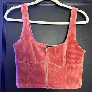 Pink Velvet Crop Top from Forever 21 Size L
